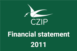 Financial statement 2011