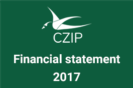 Financial statement 2017